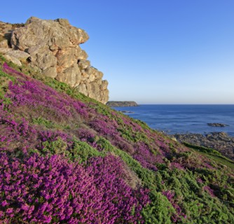 Cap de la Hague, Manche