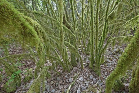 Méjannes-le-Claps commune, Gard, France