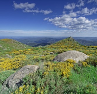 Vialas, Lozère