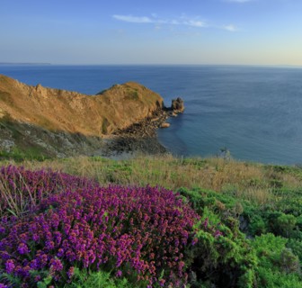Nez de Jobourg, Manche