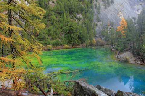 Lac Vert, France