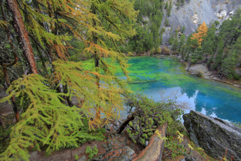 Lac Vert, France