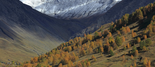 Vallon du Goléon, Hautes-Alpes
