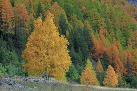 Haute vallée de la Romanche, France