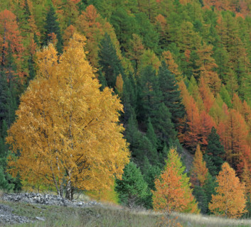 Haute vallée de la Romanche, France