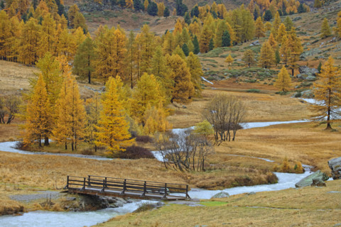 Vallée de la Clarée, Hautes-Alpes