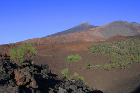 Parc National du Teide, Îles Canaries