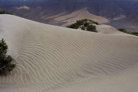 Famara Dunes, Lanzarote