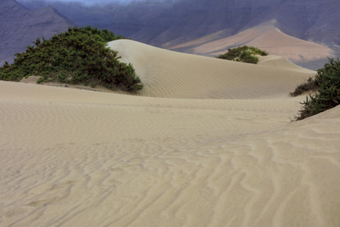 Dunes de Famara, île de Lazarote