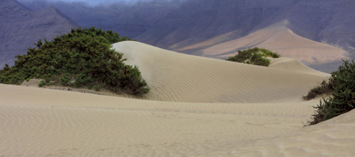 Dunes de Famara, île de Lazarote