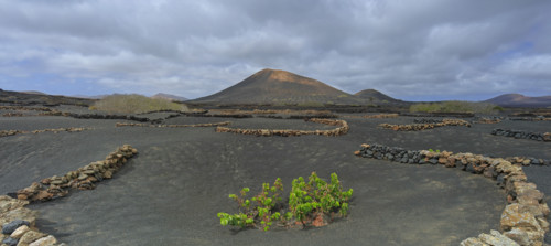 Domaine viticole de La Geria, île de Lanzarote