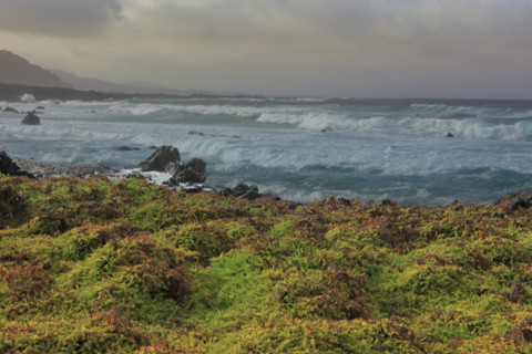 Plage de la Canteria sur l'île de Lanzarote