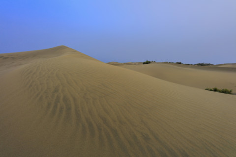 Dunes de Maspalomas, Las Palmas
