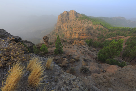 Pic de las Nieves, île de Grande Canarie
