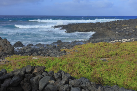 Paysage cotier la galeta Gonzalès Orzola, île de Lanzarote