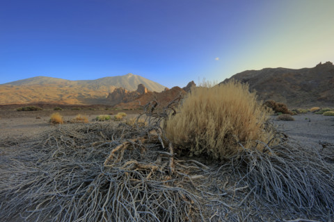 Volcan du Teide, île de Tenerife