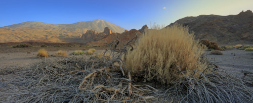 Volcan du Teide, île de Tenerife