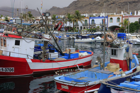 Port de pêche de Puerto de Mogan, Grande Canarie