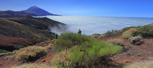 Volcan du Teide, île de Tenerife