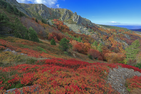 Paysage automnal sur le Rocher de l'Aigle dans les Cévennes