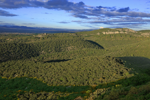 Les Garrigues de Lussan, dans le Gard