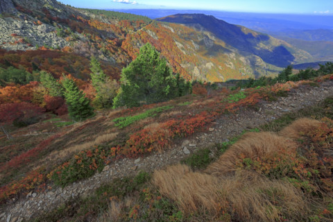 Paysage automnal sur le Rocher de l'Aigle dans les Cévennes