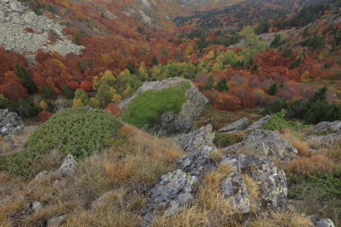 Paysage automnal sur le Rocher de l'Aigle dans les Cévennes