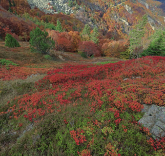 Paysage automnal sur le Rocher de l'Aigle dans les Cévennes