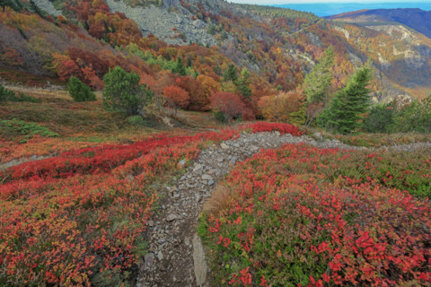 Paysage automnal sur le Rocher de l'Aigle dans les Cévennes
