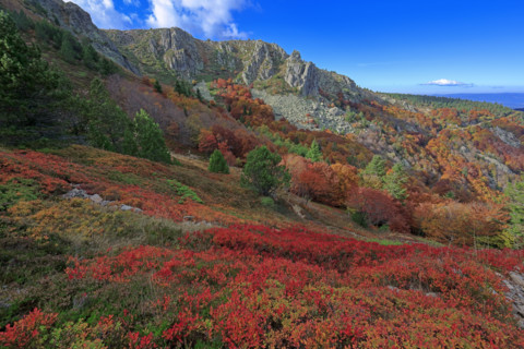 Paysage automnal sur le Rocher de l'Aigle dans les Cévennes