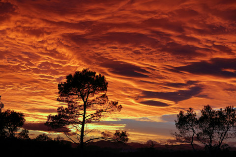 A landscape in the Gard region and a fiery sky