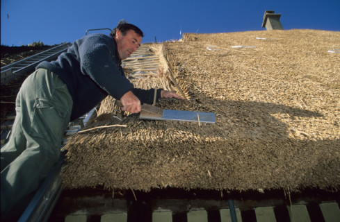 France,  roofer