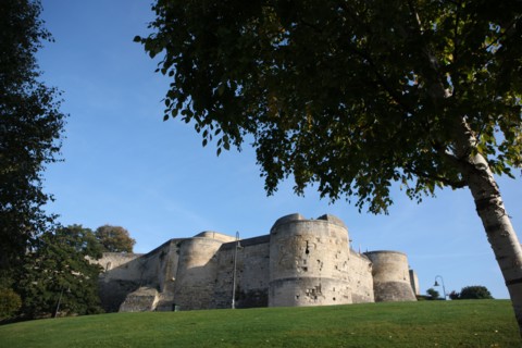 France, Normandie, calvados, caen, au pied du chateau, Guillaume le Conquerant, remparts, rue de geole, arbre, fortifications, pelouse,