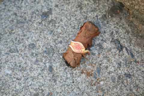 France, megot de cigare, pollution, tabagisme, dechets,