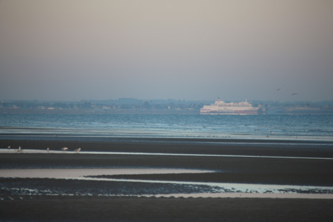 France, Basse Normandie, calvados, cabourg, plage, maree basse, vue sur un ferry compagnie brittany ferries, port de ouistreham,