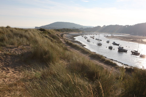 France, Basse Normandie, calvados, cabourg, plage, sable, massif de dunes entre la plage et port guillaume, port de plaisance, maree basse,