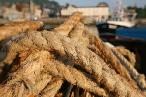 France, Basse Normandie, calvados, cote fleurie, Honfleur, l'avant port, cordages, peche,