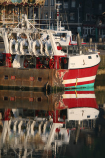 France, Normandie, calvados, Honfleur, l'avant port, chalutier, bateau de peche, reflet, bassin,