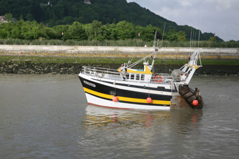 France, cote fleurie