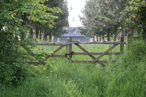 France, Basse Normandie, calvados, pays d'auge, barriere et maison, chemin pris par les herbes, entree de ferme,