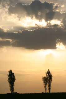 France, Basse Normandie, calvados, pays d'auge, ciel, nuages, meteo, rayons de soleil, arbres, lever de soleil, peupliers,