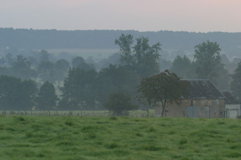 France, wooded countryside