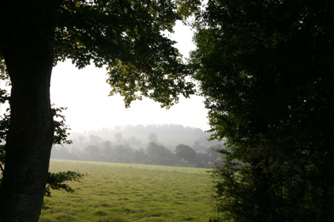 France, wooded countryside