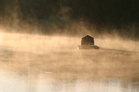 France, Normandie, Calvados, cote fleurie, saint arnoult, petit matin sur un bras de la touques, vapeur, cabane pour oiseaux, froid,