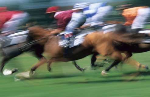 France, Normandie, Calvados, cote fleurie, deauville, hippodrome, courses, chevaux, jockeys, mouvement, arrivee course de plat