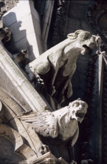 France, north gargoyles