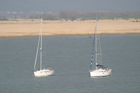France, Haute Normandie, eure, vallee de la Seine, berges, environnement, roselieres en bord de Seine, voiliers, plaisance, estuaire