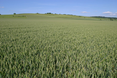 France, agriculture