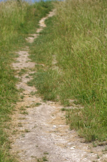 France, Haute Normandie, eure, chemin de terre, herbe, randonnee, cote des deux amants, amfreville sous les monts,