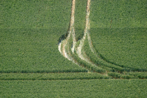 France, Haute Normandie, eure, agriculture, champs cultives, vert, cereales, traces de roues de tracteur, vue du sommet de la cote des deux amants
amfreville sous les monts,
